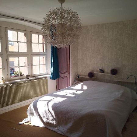 Le Baudinot Lejlighed Sélestat Eksteriør billede